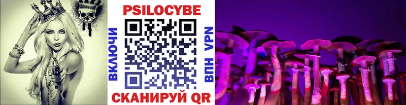площадка состав  Жирновск  Галлюциногенные грибы Psilocybine cubensis 